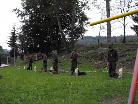 Príprava psa na skúšky poľovnej upotrebiteľnosti 